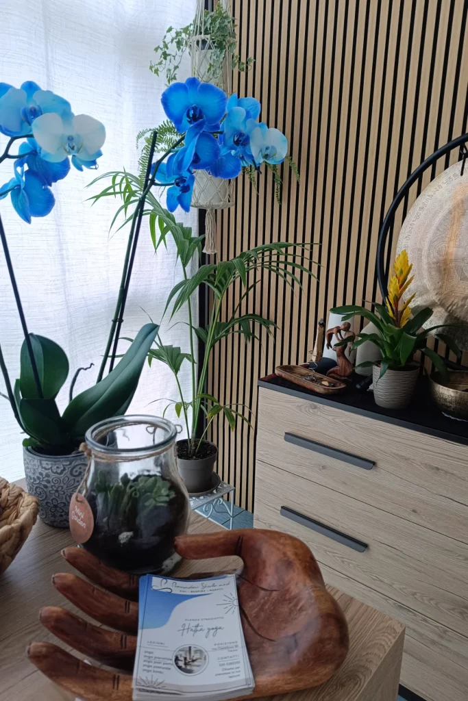 Orchidee blu in vaso accanto a piante grasse e a una ciotola di legno, alla luce della finestra
